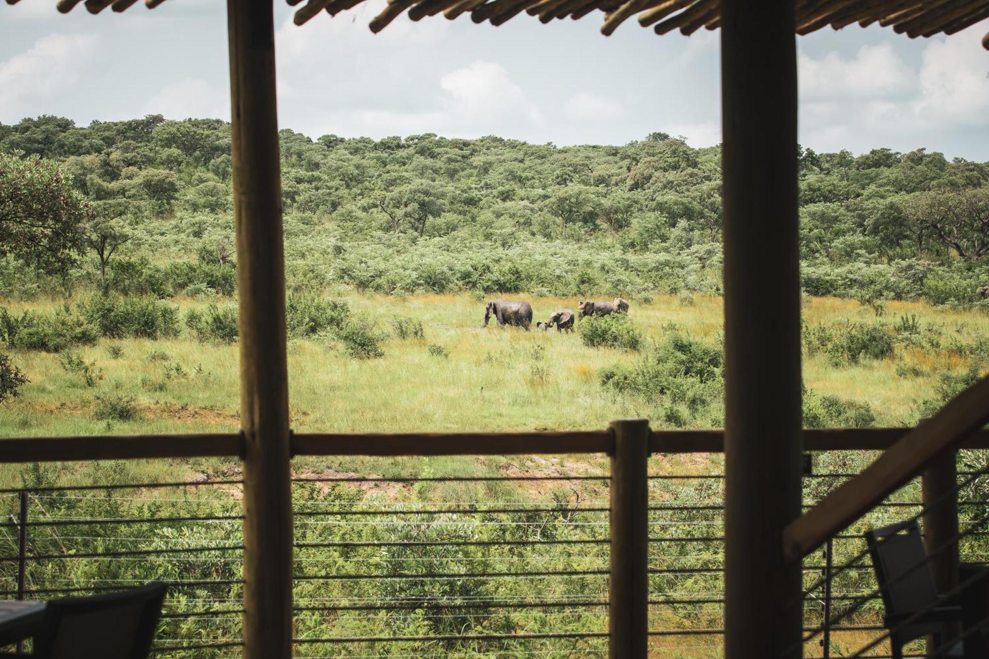 Mdluli Safari Lodge Hazyview Dış mekan fotoğraf